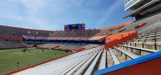 年轻球员的 年轻球员的