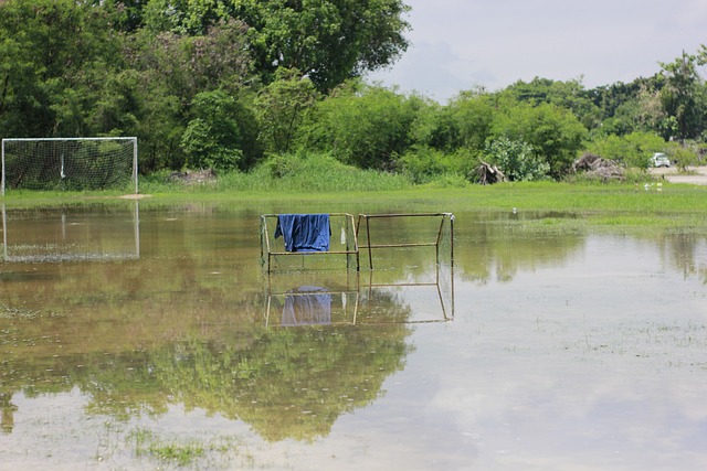 步带来惊艳 步带来惊艳