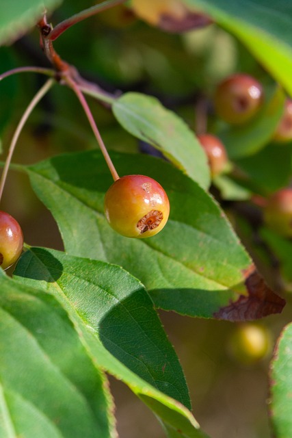 乔丹的滞空 乔丹的滞空
