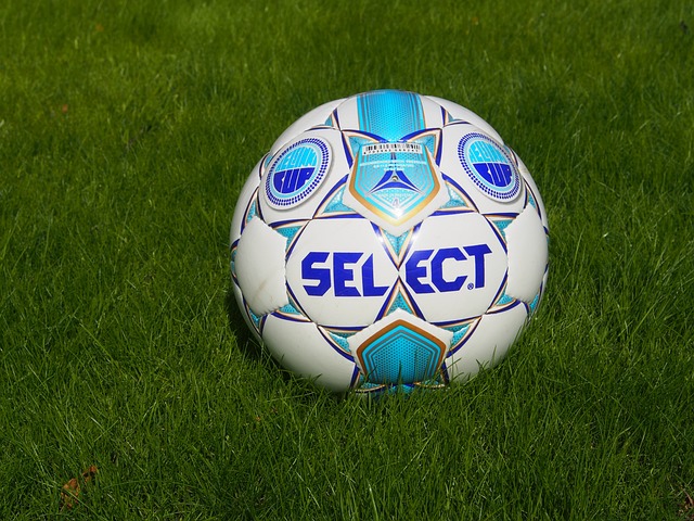 入了新的能 入了新的能