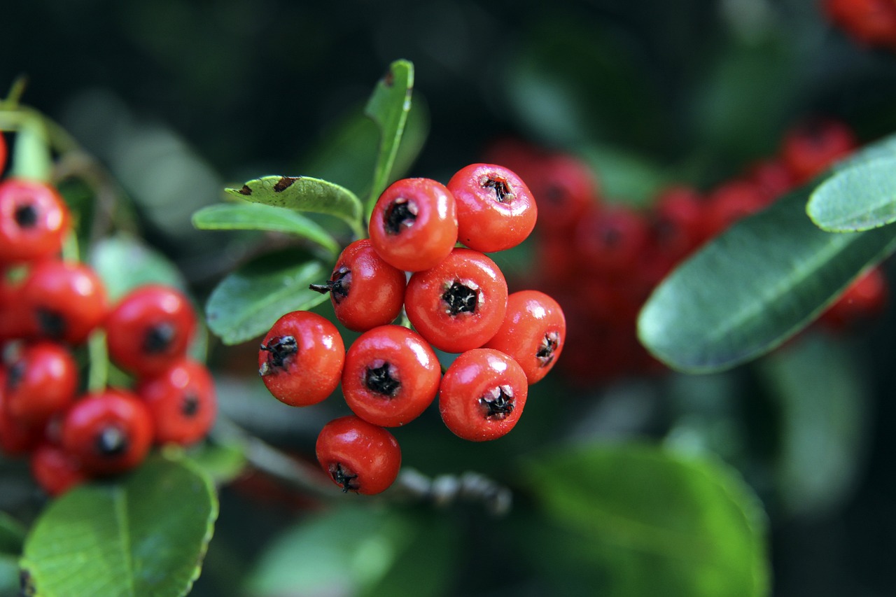 赛事之一 赛事之一