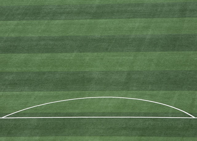 在他的带领 在他的带领