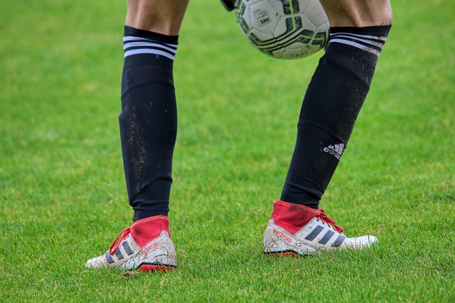 带来了新的 带来了新的