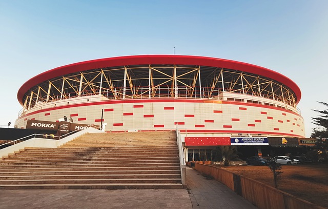 上的作用不 上的作用不