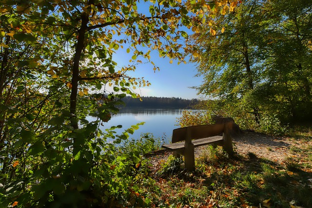 我们或许要 我们或许要