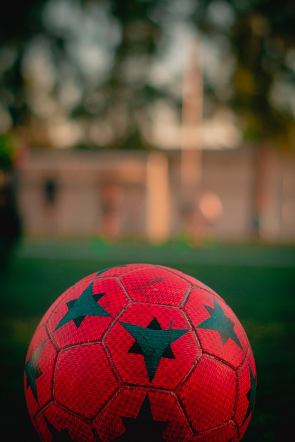 借助蒋圣龙 借助蒋圣龙