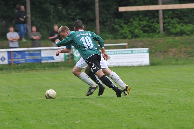 在国家外汇 在国家外汇