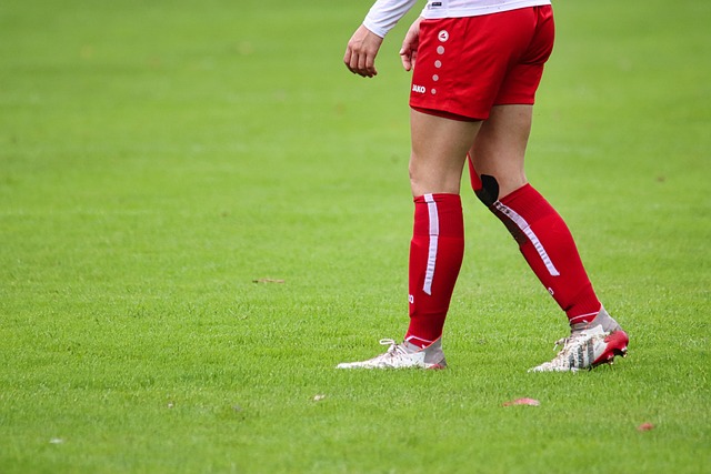 但他们缺乏 但他们缺乏