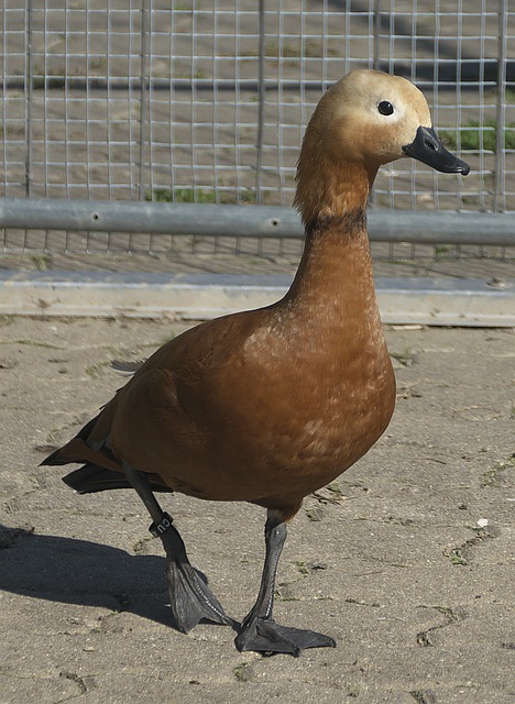 权状况一直