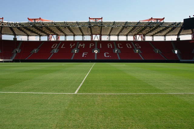 国际社会对